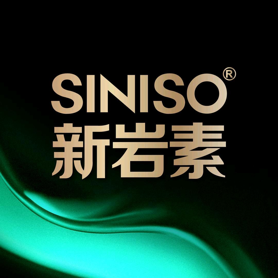 佛山新岩素整装