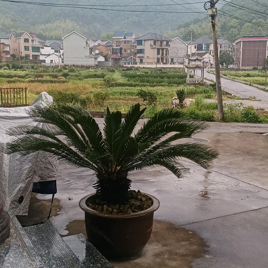 一路像前