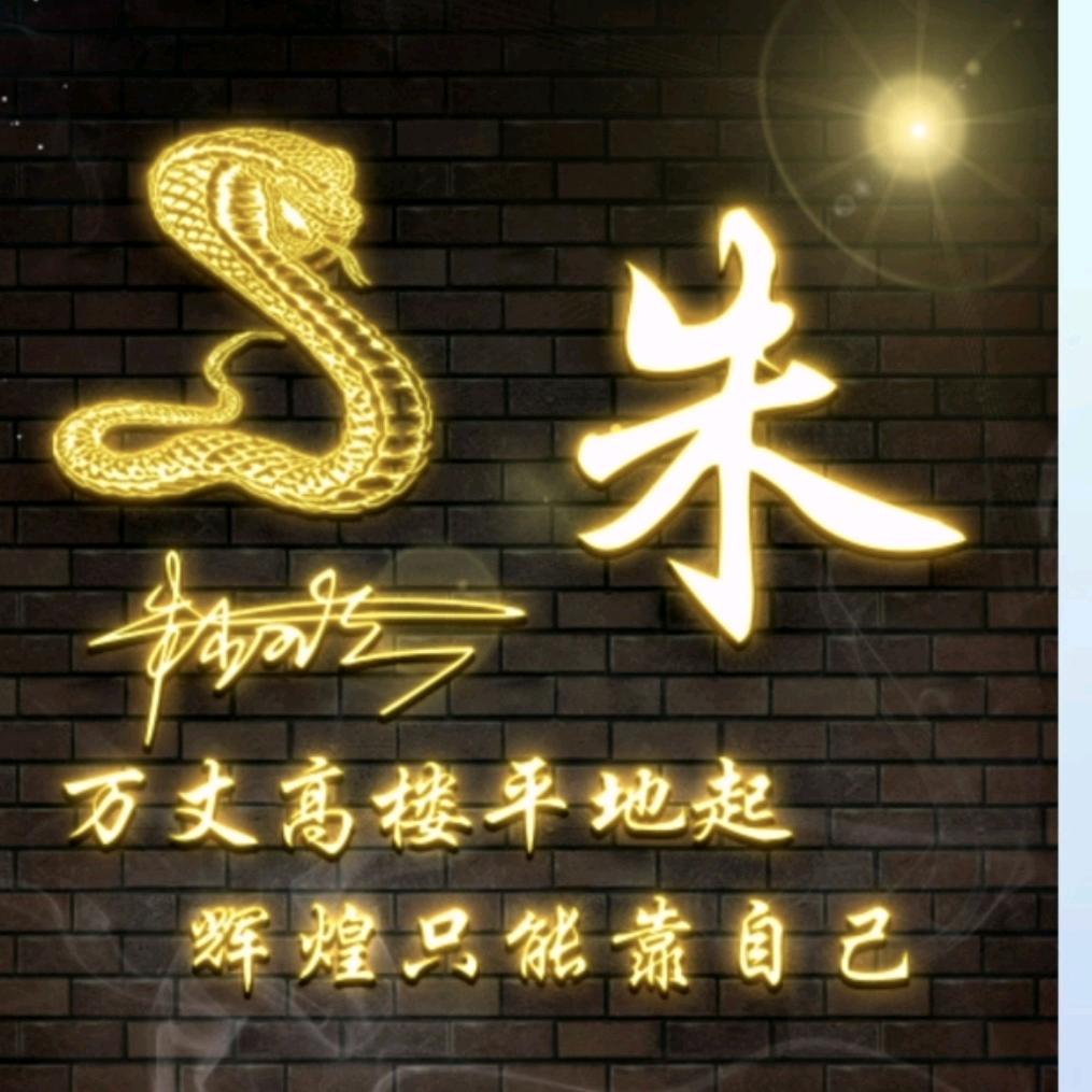 山寨大王单身个人