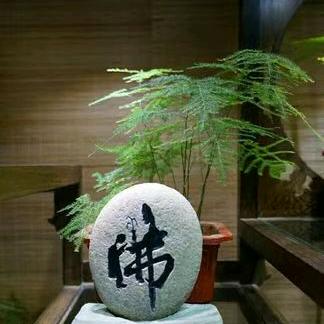 餐饮人，小马哥🇨🇳