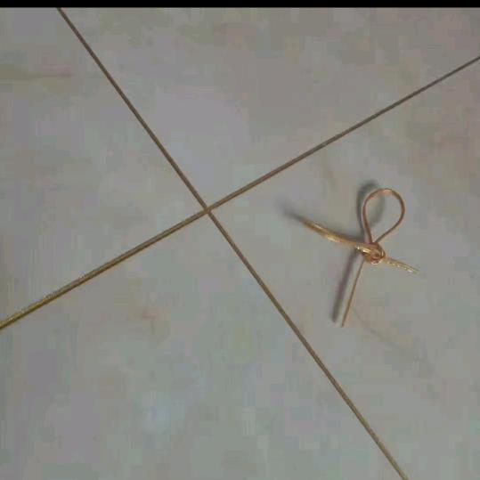 郑小香，艺术（美缝）