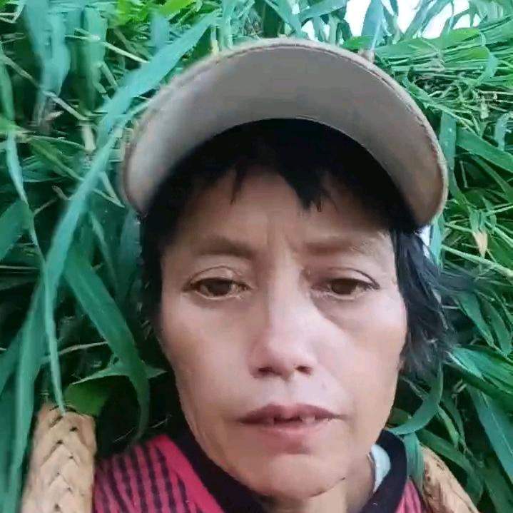 高利姐