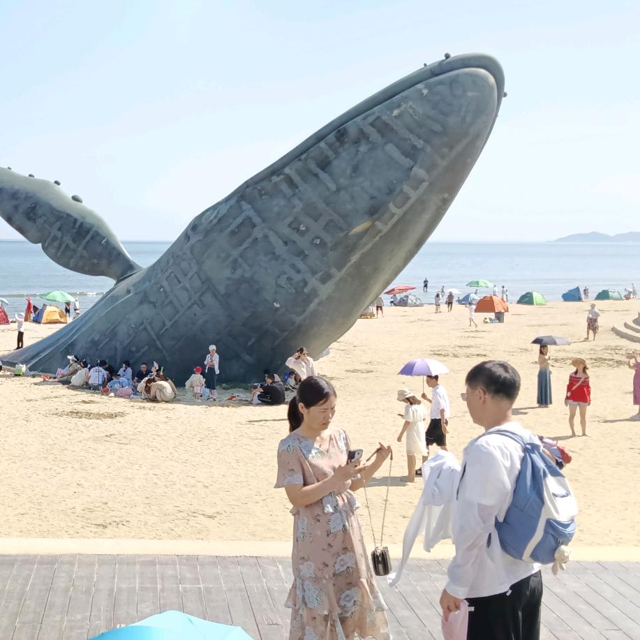 青云🐉