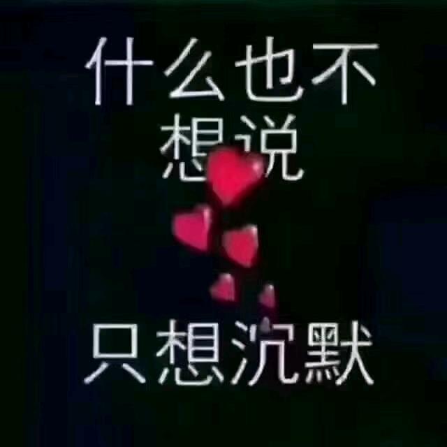 真的不错
