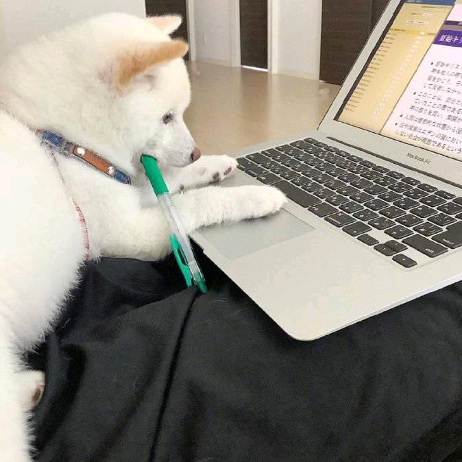 我没球德我开心