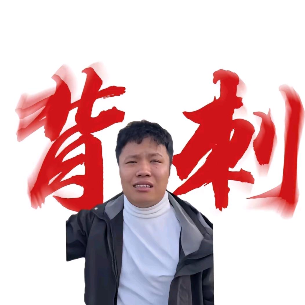 避风港🌊