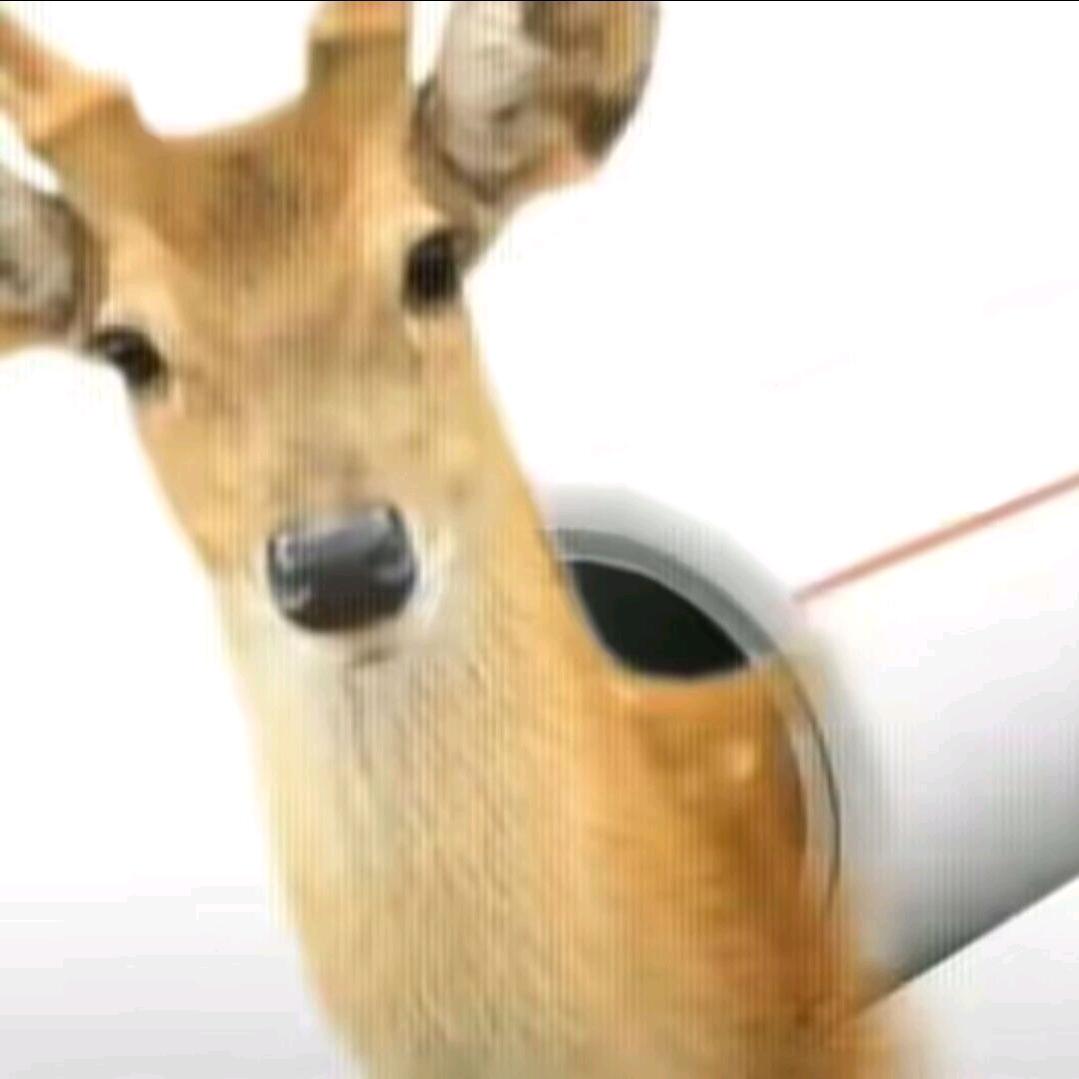 为1337
