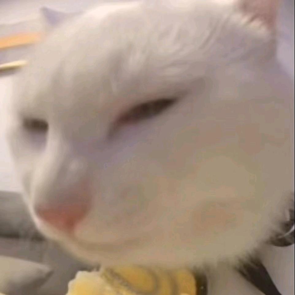 莲叶何田田