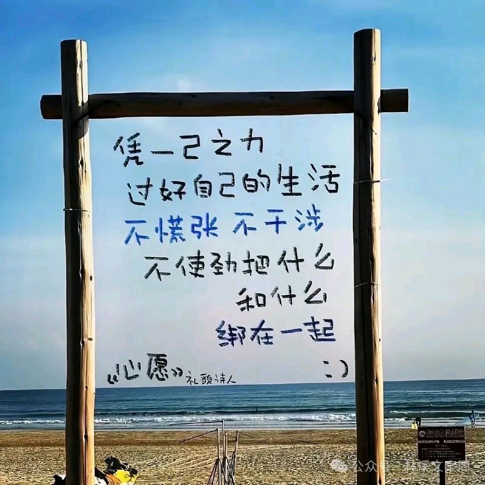 勤劳的小蜜蜂。。。