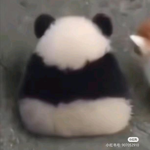 卜吉乐
