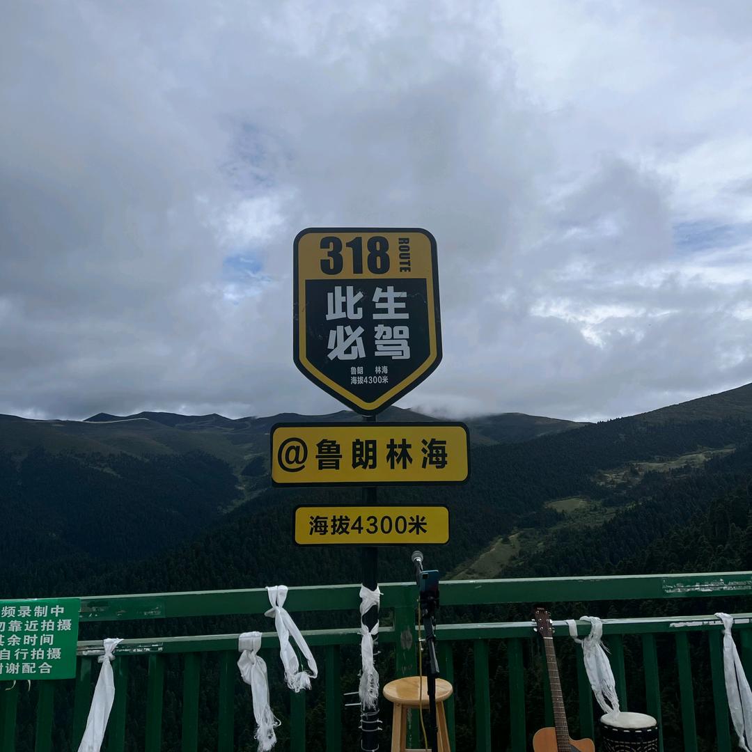 早起的鸟儿有虫吃