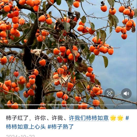 心昂迪