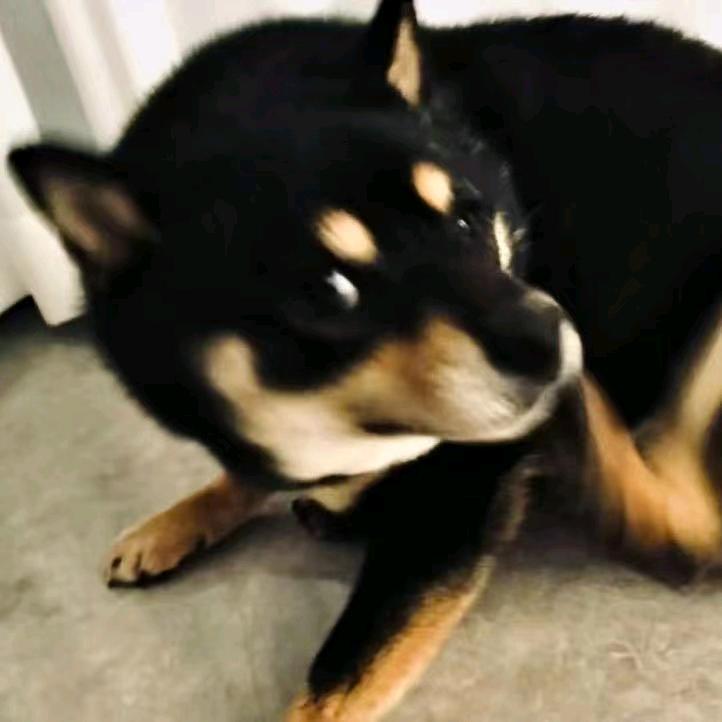 池凯祺.（见过马嘉祺版）