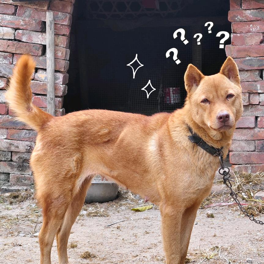 悠然自得~