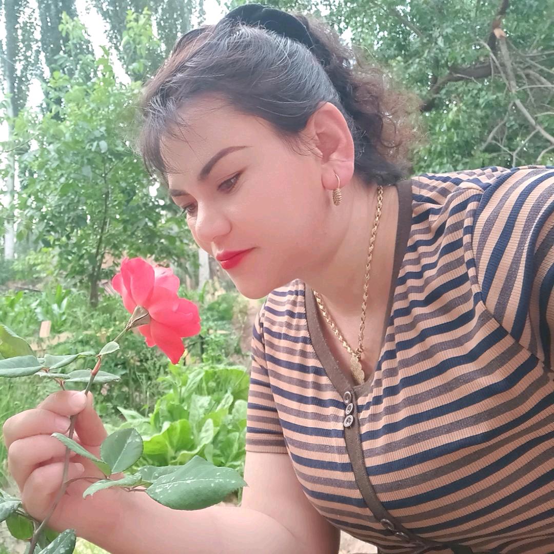 sayyara