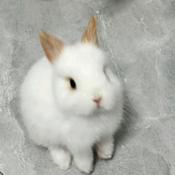 拍个月亮