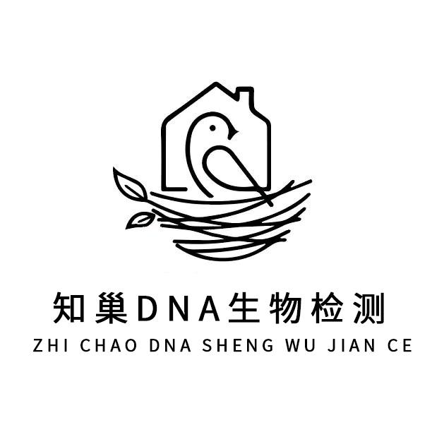 知巢珍禽