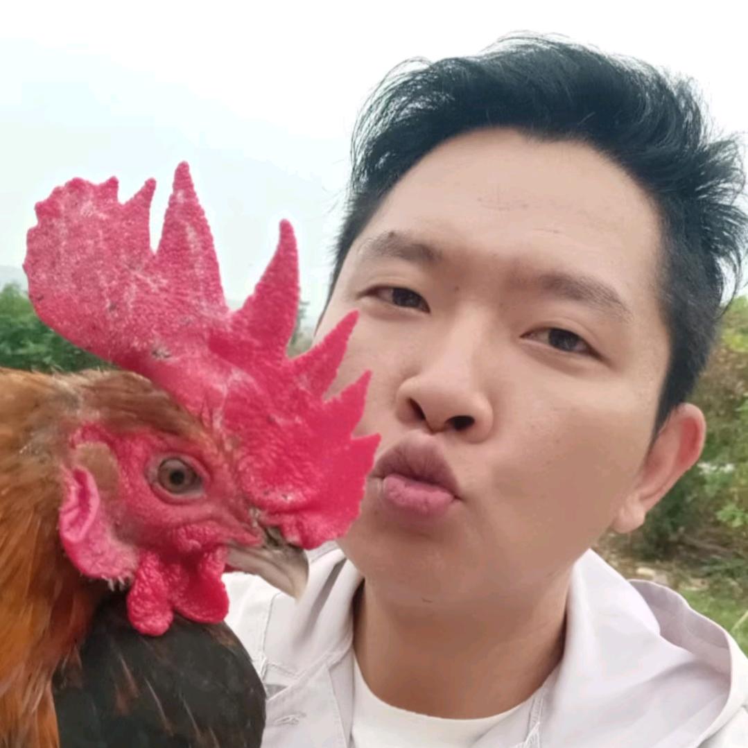 兰博鸡尼