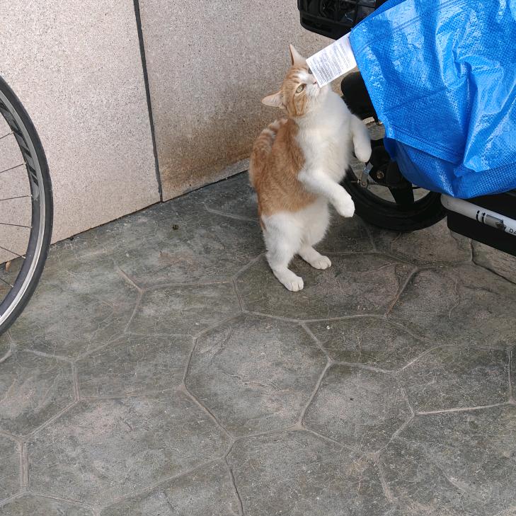 一堆卷子