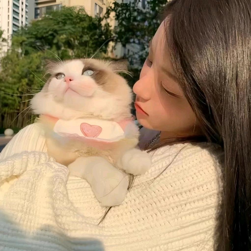 小宝寻缘👑