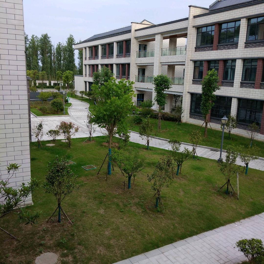 懒得动早啊