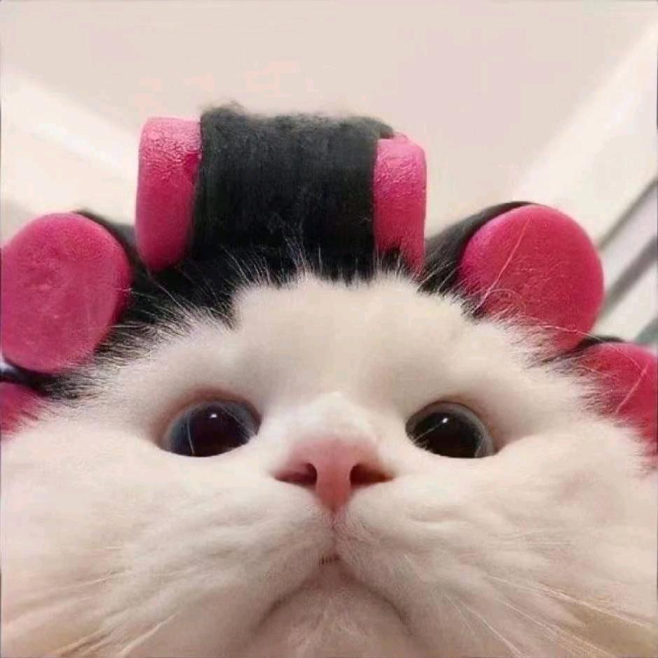 蛋仔大神