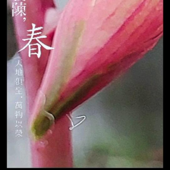 李歆恺