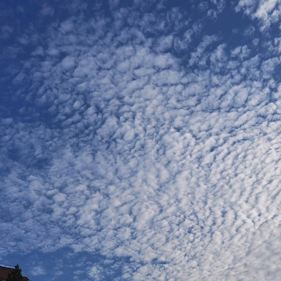雲