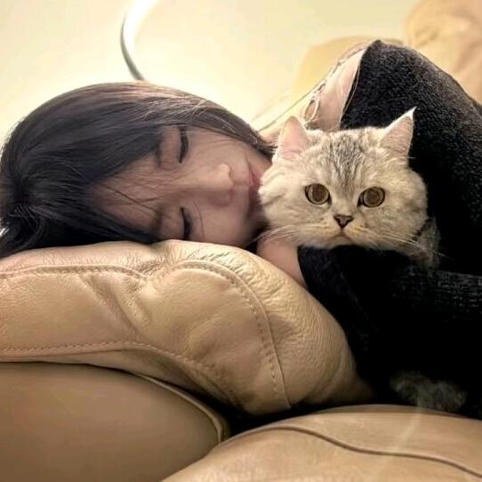 婵豆
