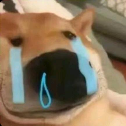 说你呢大好人