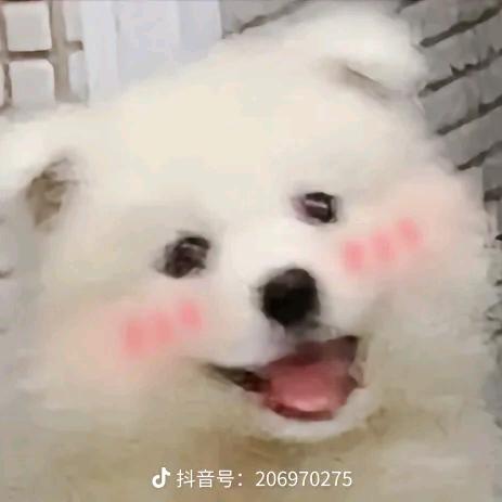 闲来无事到处巡访