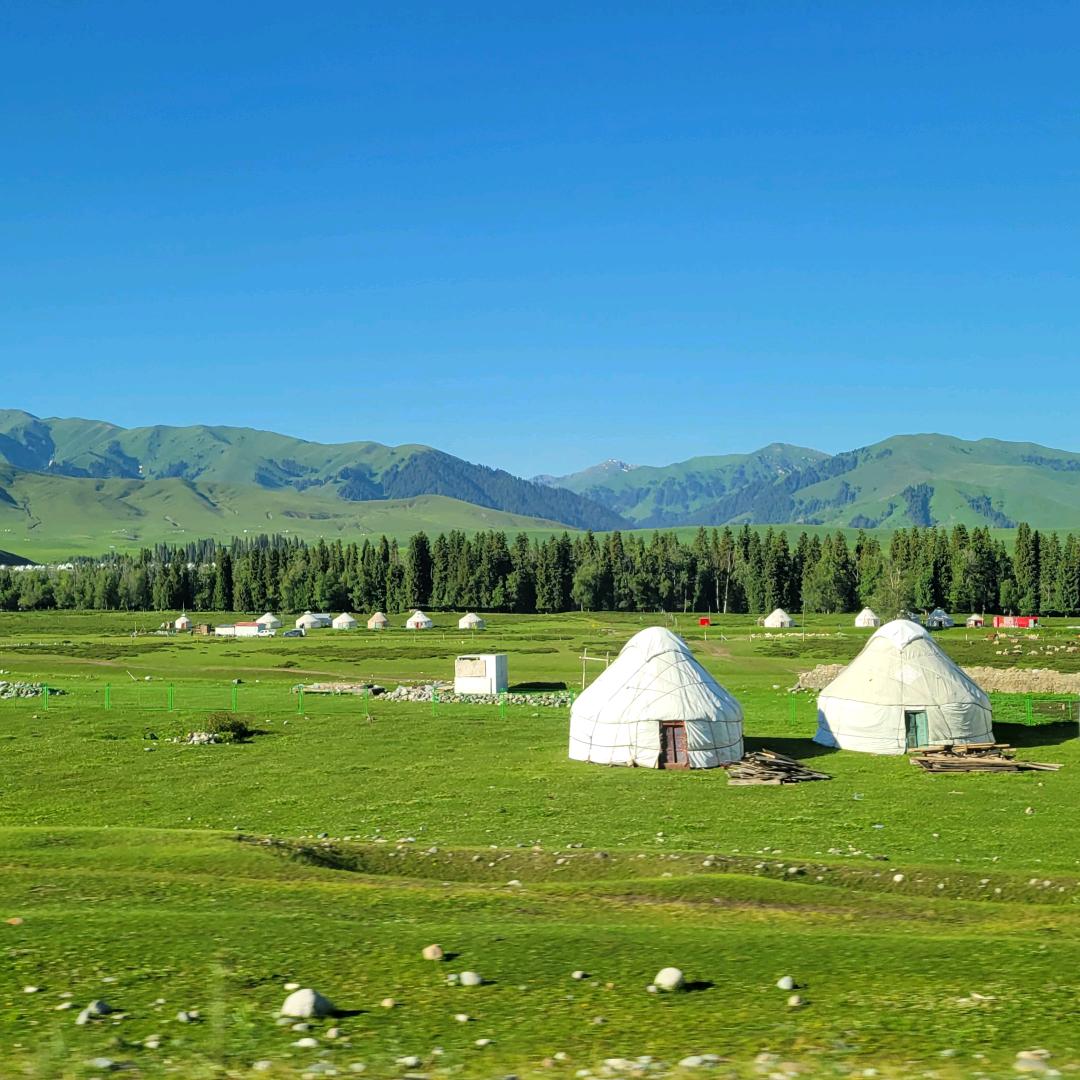 内蒙科尔沁牛羊专业合作社