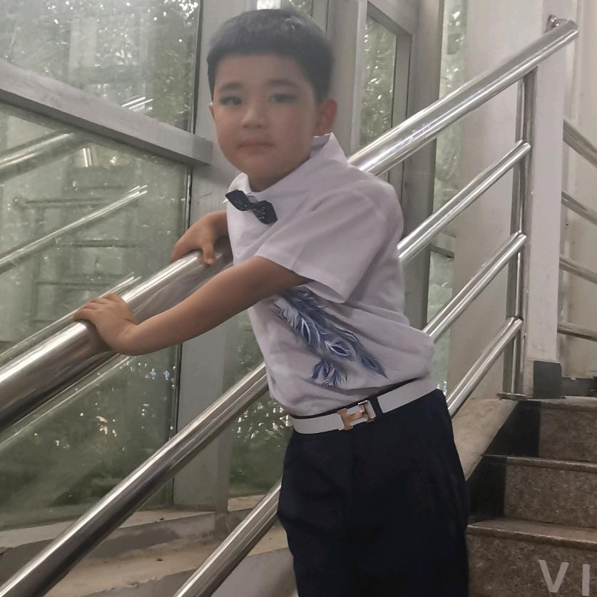 淡泊明志