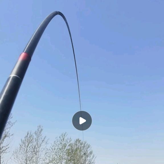 滨河鲢鳙垂钓中心