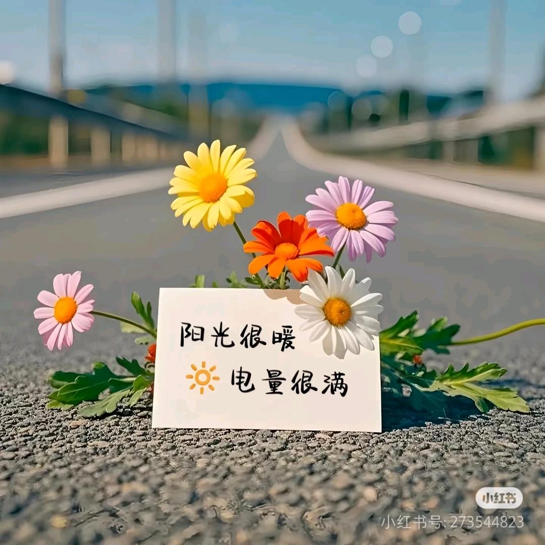 微笑向暖&安之若素