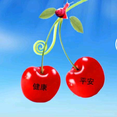 人在外，心在家