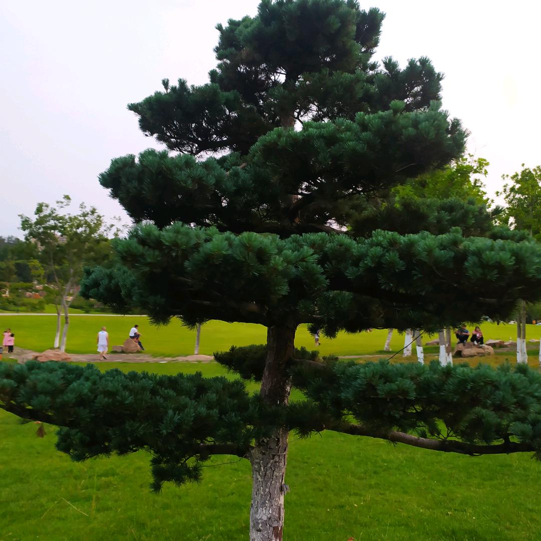 贺寨市场康络理疗店