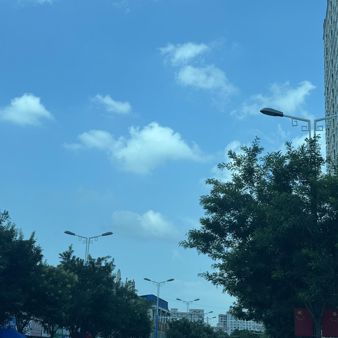 是小白吖🫶🏻