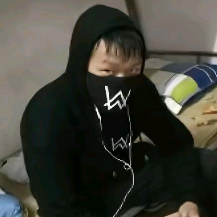 嘉豪