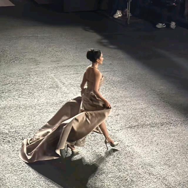 随风落叶