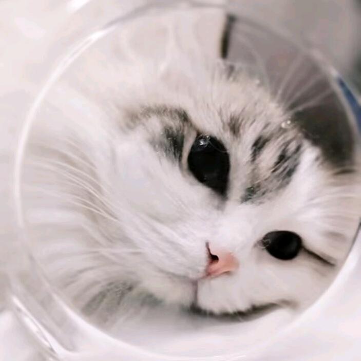 楼台倒影入池塘lc