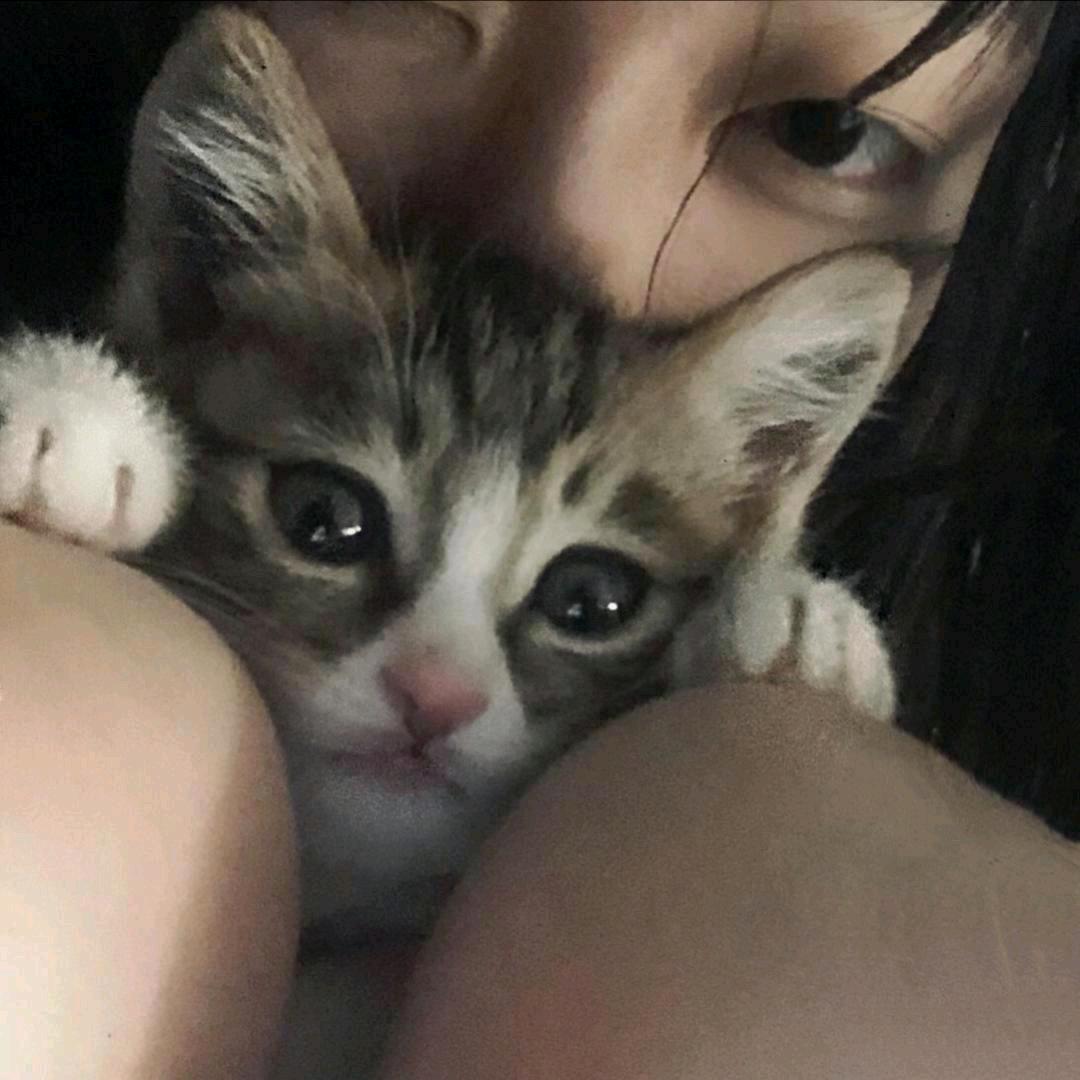 傲寒
