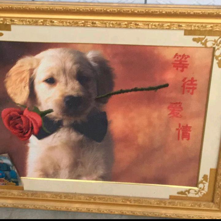擎