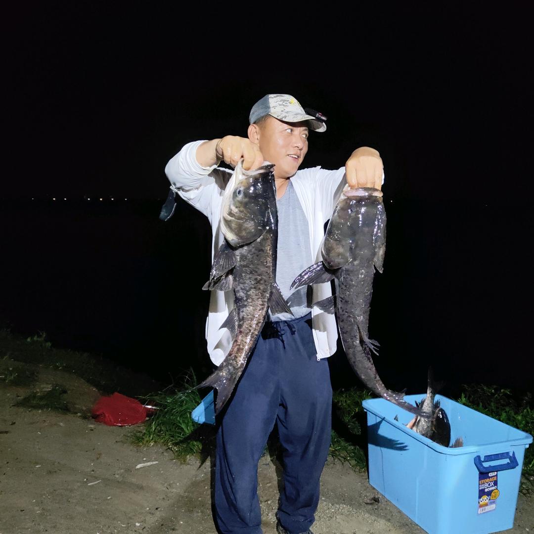 浮钓鲢鳙小钢炮