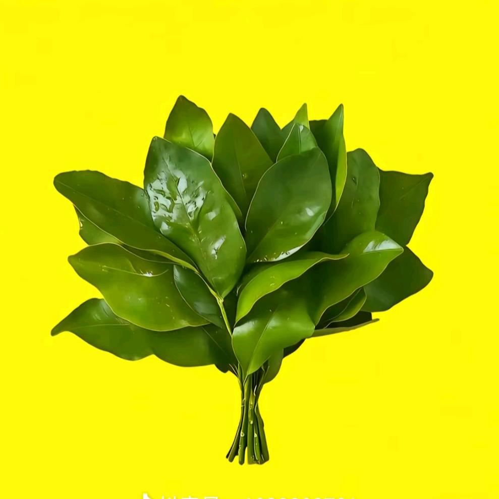 《悟》
