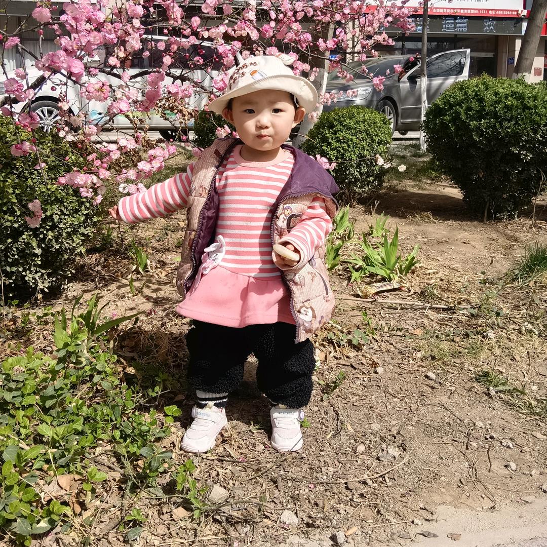 喵喵喵喵