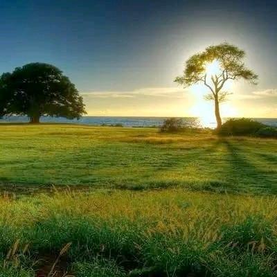 三亚广合货车行（高价回收二手车）