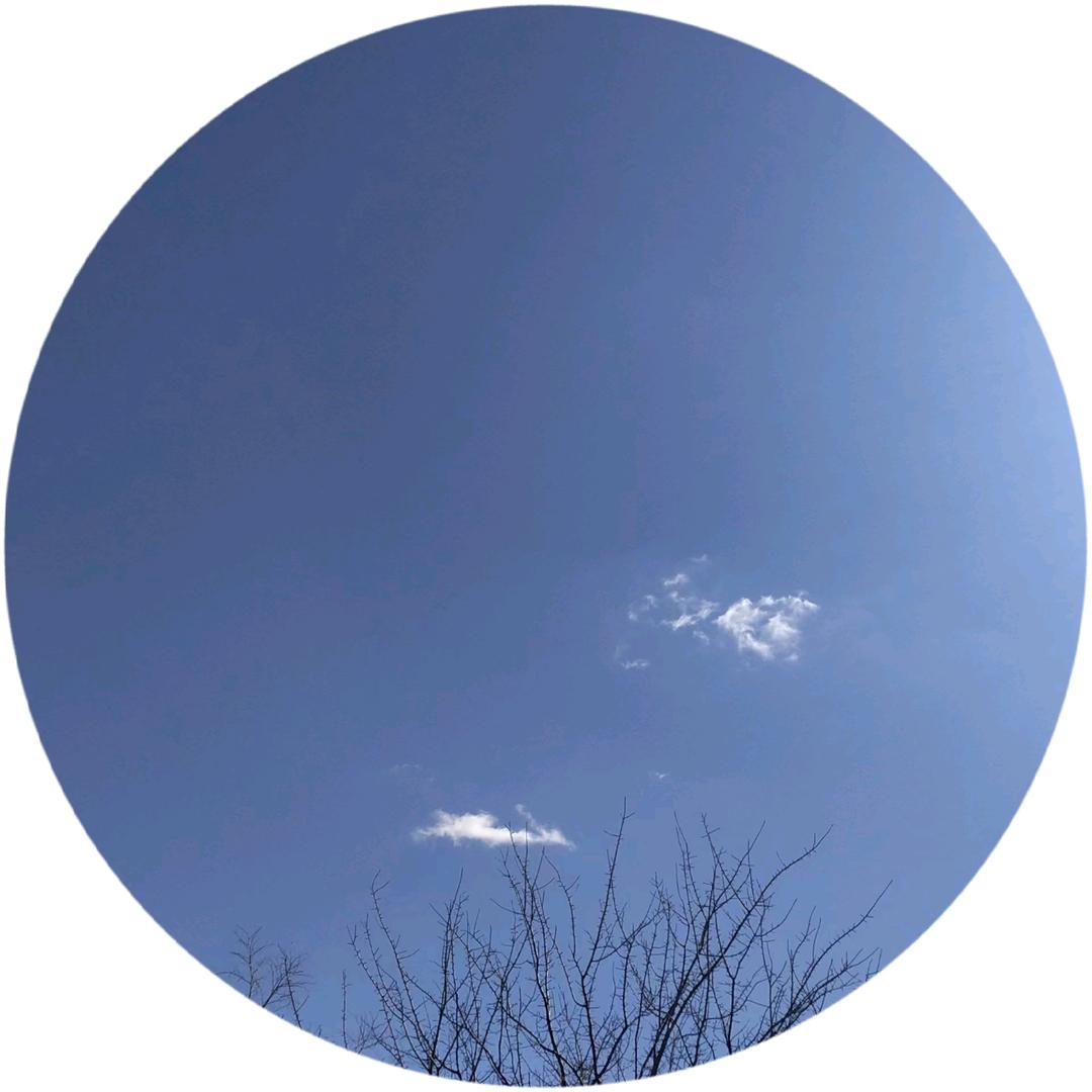 两手空空