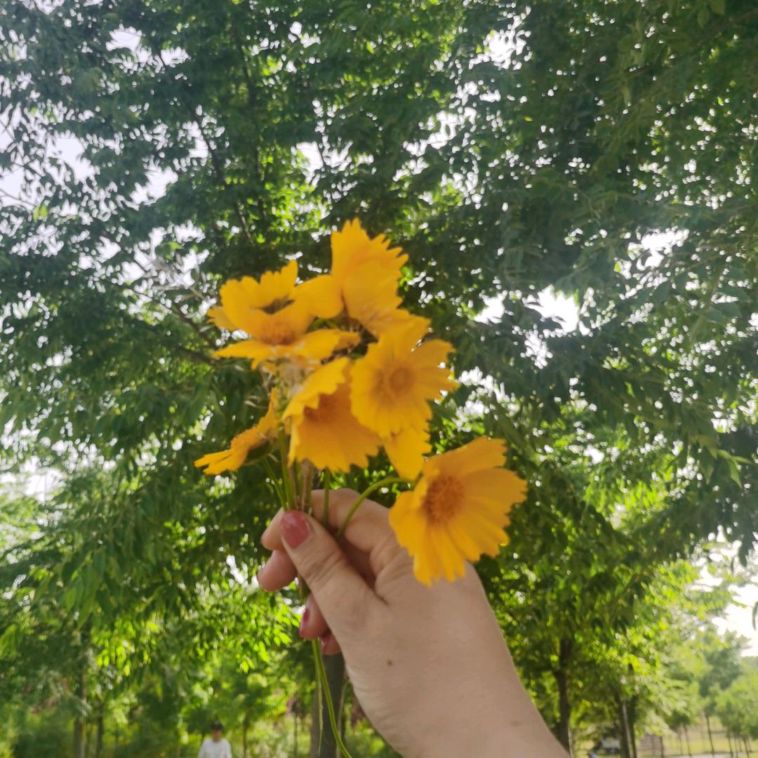 一口吃不“夏”女士