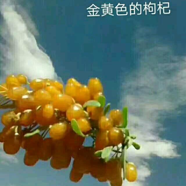 幸福